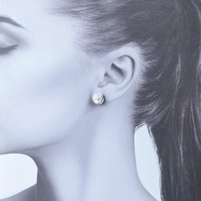 ふるさと納税 茅ヶ崎市 ArtOpus. ネックレスピアスセット 薔薇 白 湘南 茅ヶ崎市 陶磁器 アクセサリー ギフト |  | 02