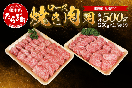 球磨産 黒毛和牛 ロース焼き肉用 500g（250g×2パック）スライス【 黒毛和牛 人気黒毛和牛 黒毛和牛ロース 和牛ロース 黒毛和牛焼肉 焼肉セット 黒毛和牛ロース焼肉セット 牛肉 ロース 和牛 国産 軟らかい 旨味たっぷり 焼き肉 JA 】011-0065