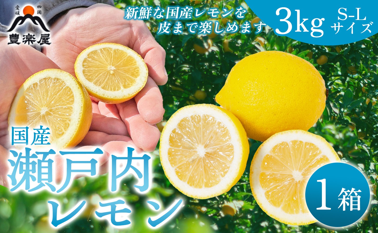 
                  【先行受付】【防腐剤・ワックス不使用で安心】真穴産地直送の国産レモン 3kg(S~Lサイズ)【C98-5】【1711278】 YWTBU005
                