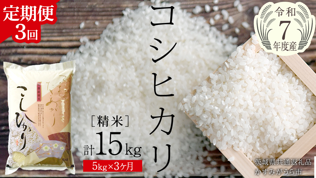 【 3ヶ月 定期便 】【 令和7年産 】 コシヒカリ 精米 5kg × 3回 ( 合計 15kg )（茨城県共通返礼品かすみがうら市）米 もっちり 甘い 銘柄米 [EX017sa]