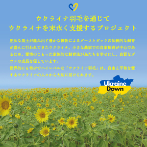  【甲州羽毛肌掛けふとん】ウクライナホワイトグース93%超長綿 ホワイト（ダブル) ふとんカバー付 羽毛布団 寝具 掛けふとん 布団 掛布団 ダブル布団 ふとん 寝具 布団 ふとん 布団 寝具 ふとん