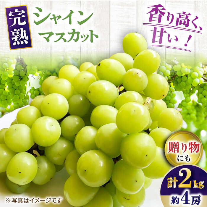 【ふるさと納税】【先行受付】8月下旬より順次発送 シャインマスカット　約2kg 箱入り / シャインマスカット フルーツ 果物 完熟 数量限定 / 大村市 / 大又農園[ACZO005]