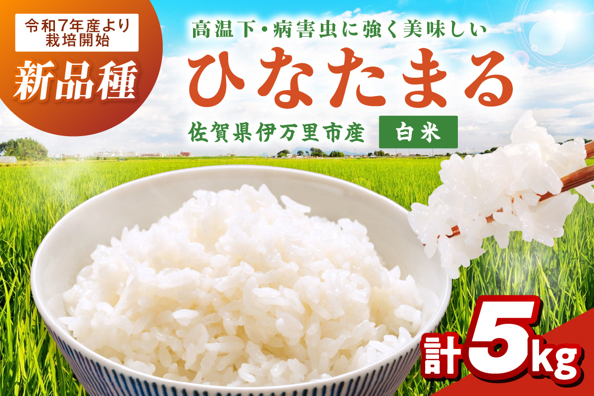 【先行予約】令和8年産新米 伊万里産ひなたまる精米5kg 113-B1065