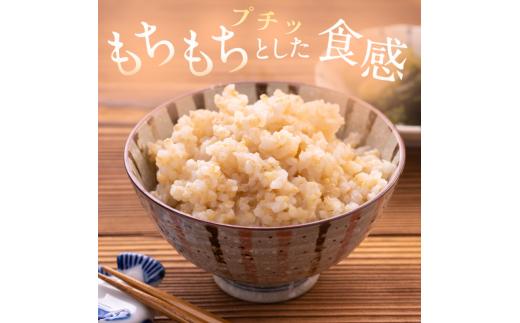 先行予約 ※3ヶ月定期便※ 葛城山麓米 ヒノヒカリ（玄米）10kg ×3ヶ月 令和8年産 【2026年11月・12月・1月発送】／ 奈良 葛城 山麓米 産地直送 米 お米 新米 こめ 国産 甘い 美味