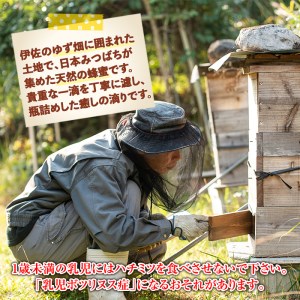 isa417 ＜期間限定＞ダブル半ダース(ゆずしぼり×6本・ゆず小姓×6個) 柚子 果汁 調味料 柚子胡椒【ゆず香房】