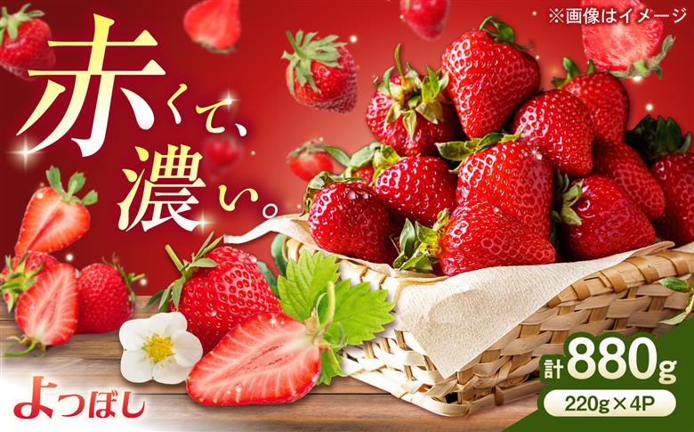 中まで真っ赤！極あまいちご「よつぼし」880g（220g×4パック） / いちご よつぼし 濃厚 / 佐賀県 / 株式会社しもむら農園 [41AHAH010]