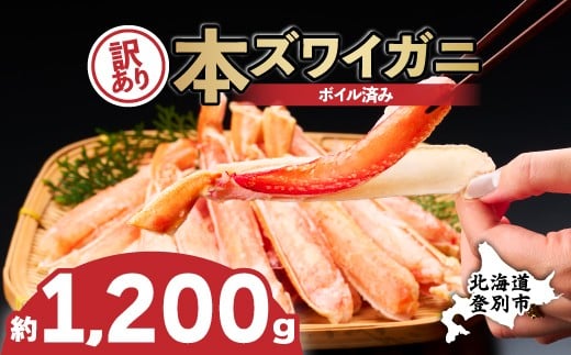 
                  かに 本ズワイガニ 訳あり 冷凍 ボイル 足 ハーフポーション 1200g | カニ 蟹 本ずわいがに ズワイガニ ずわいがに 不揃い 規格外 海産物 海鮮 かにしゃぶ かに鍋 ギフト ふるさと納税 北海道 登別市
                