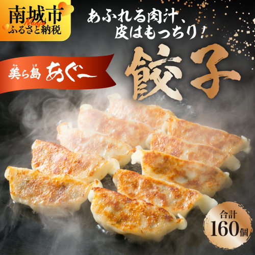 【美ら島あぐ～】餃子（160個入り／8パック×20個入り）