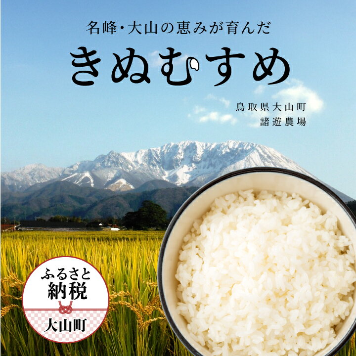 【ふるさと納税】MR-20　諸遊農場のきぬむすめ10kg【白米】 料理用 家庭用 鳥取県 鳥取県産 大山町 大山 料理 国産 鳥取 大山産