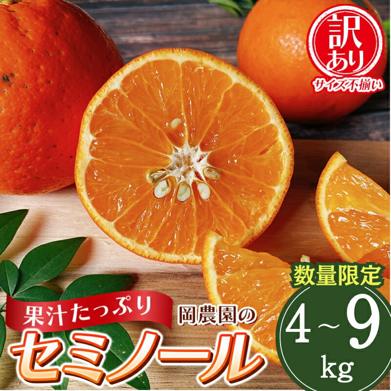 【ふるさと納税】 【先行予約】【容量が選べる】訳あり品 サイズ混合 ご家庭用 岡農園のセミノール【2026年3月下旬から4月下旬までに順次発送】 / セミノール わけあり 訳あり 家庭用 みかん 蜜柑 数量限定 ミカン