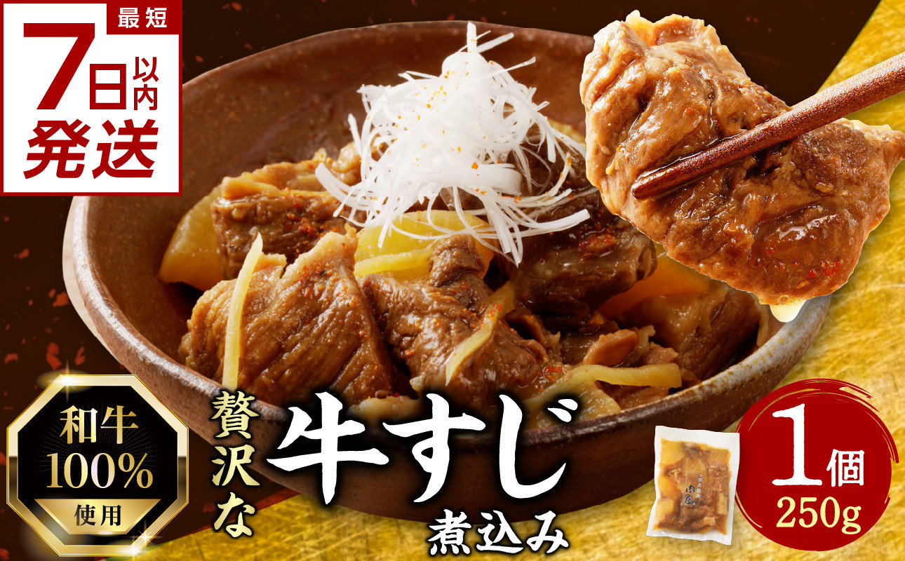 
            【スピード発送】最短7日以内発送！！和牛100％の贅沢なすじ煮込み 250g×1個【093-09-S】　
          