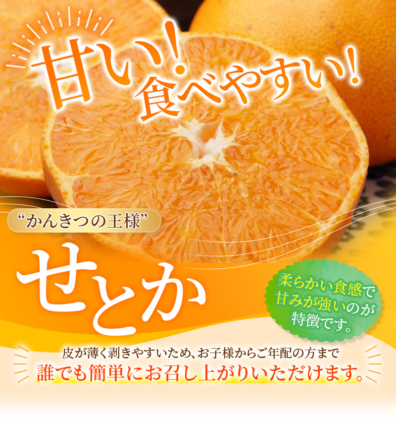 【先行予約】ご家庭用 たにぐち農園の せとか 4.5kg 大小混合【2027年3月から4月上旬までに順次発送予定】【mtn012C】