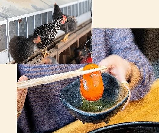 紀の国みかんどり 鶏すき焼きセット