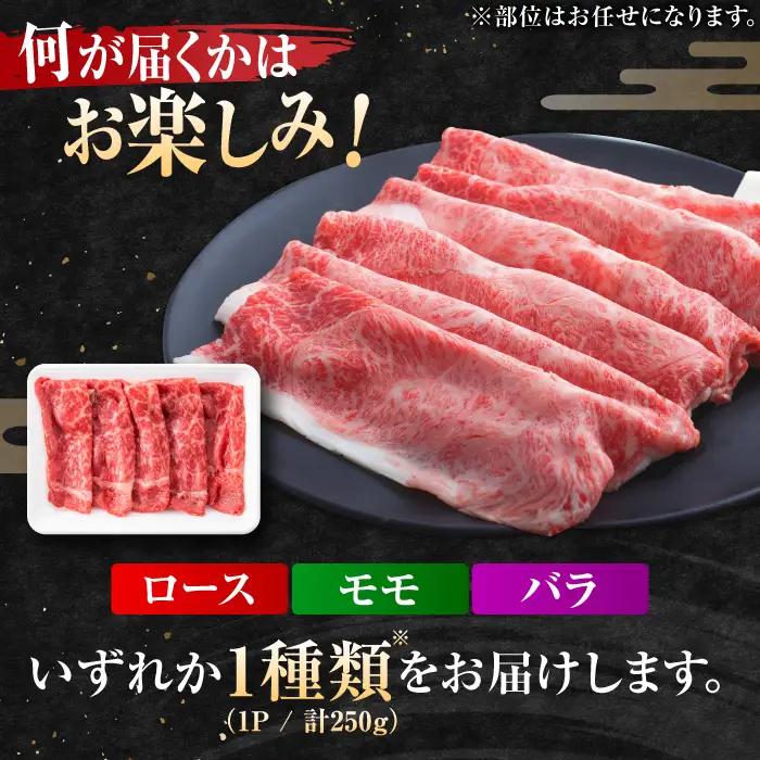佐賀牛 しゃぶしゃぶ・すき焼き用 250g ※肩ロース・肩バラ・モモのいずれか1部位※  黒毛和牛[FDB017]