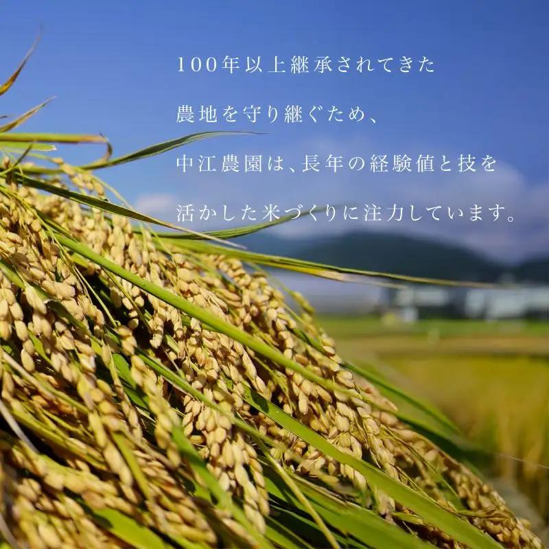 【2026年8月下旬順次発送】令和8年産 新米コシヒカリ 5kg 白米 米 数量 限定 こしひかり 5キロ 米5kg ごはん こめ コメ はくまい okome kome おむすび おにぎり 国産 飯 