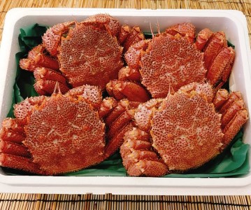 茹でたて発送！ボイル毛蟹4尾 海鮮 かに 蟹 毛蟹 おかず おつまみ 北海道 函館市 ふるさと納税 お取り寄せ 送料無料_HD088-001