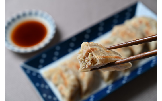 
No.274 行田の餃子2袋セット　1500g ／ ぎょうざ ギョウザ 埼玉県
