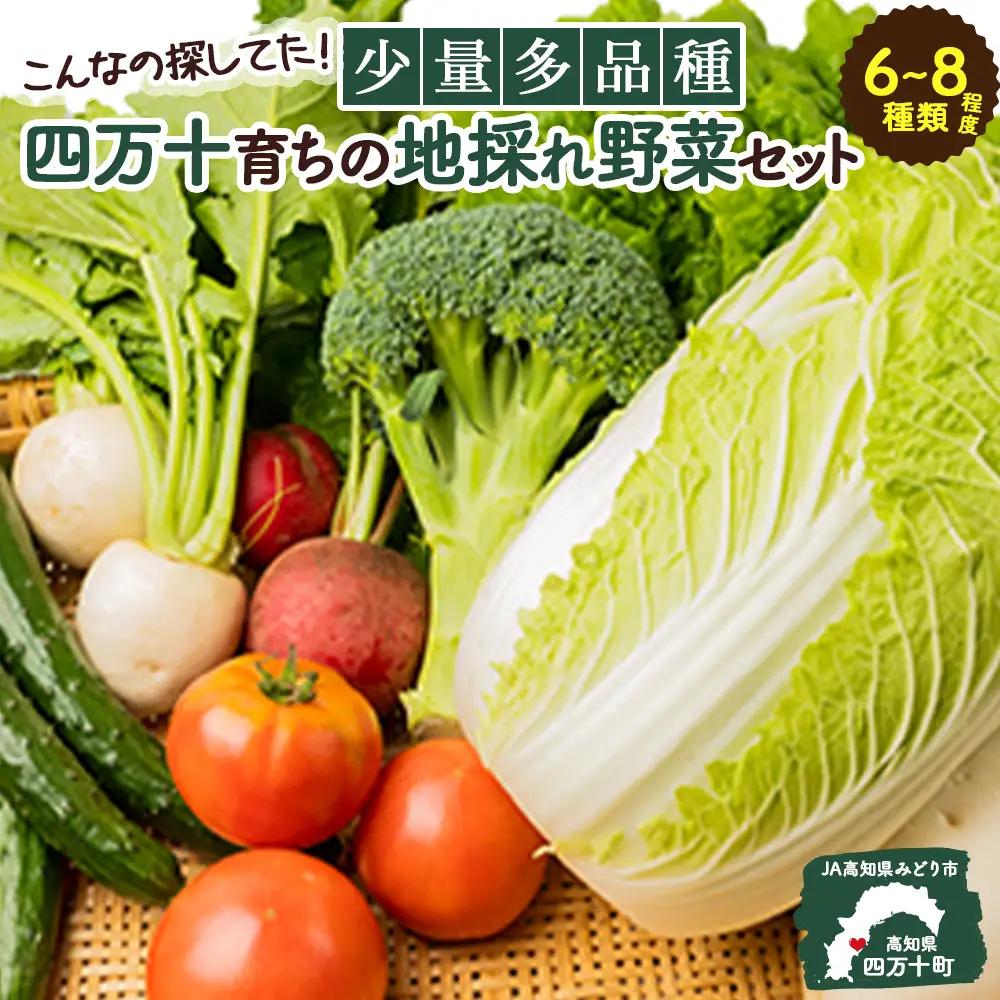 【少量多品種】 四万十育ちの地採れ 野菜セット （6〜8種類）野菜 ／Qjs-B21