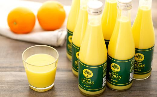 みかんジュース 100％ 宮内伊予柑 皮ごとストレート 300ml×6本 【2026年1月中旬から発送】 |みかんジュース みかんじゅーす ミカンジュース オレンジジュース おれんじじゅーす いよかんジュース 果汁100％ ジュース みかん ジュース 100％ ストレート 2025年2月初旬より発送 愛媛県 松山市