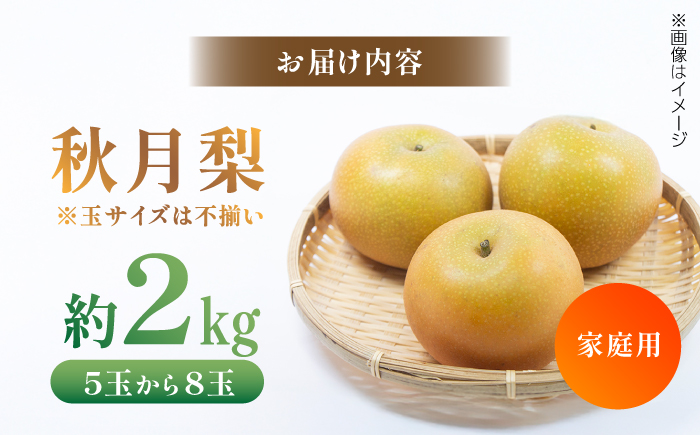 【先行予約】 川渕果樹園 秋月梨 約2kg 家庭用 〈2025年10月～発送〉 / 梨 なし ナシ 果物 フルーツ デザート 秋 甘い ジューシー 【株式会社Dorago】 [ATAM058]