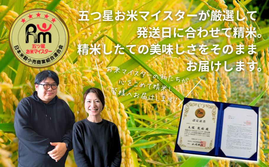 五つ星お米マイスターが厳選！【新米】令和7年産 佐賀県産 さがびより 白米 10kg（5kg×2袋）おこめ 米 ：B320-015