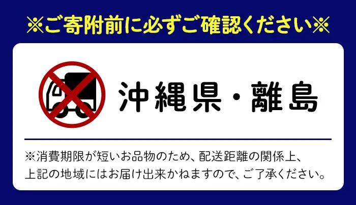 ≪先行予約受付中！≫殻付き牡蠣（生食用）冷蔵 2kg 生牡蠣 宮城県産 牡蛎 牡蠣 カキ かき 生食 オイスター カキフライ 牡蠣鍋 海鮮 国産 魚貝類 バーベキュー BBQ 【カタクチ商店株式会社】