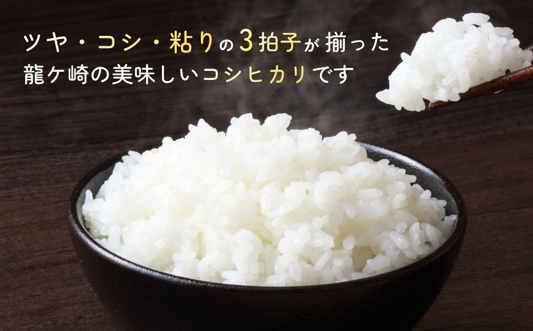 こしひかり お米 米 こめ コシヒカリ 白米 精米