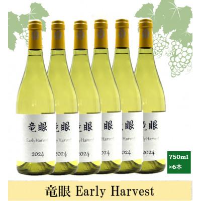 ふるさと納税 長野市 ワイン 竜眼 Early Harvest 750ml×6本