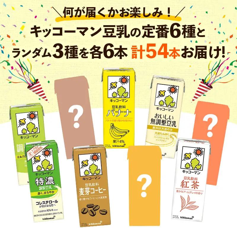 豆乳 キッコーマン 豆乳満喫！ お楽しみ便 200ml×54本 9種 各6本 計54本 詰め合わせ N