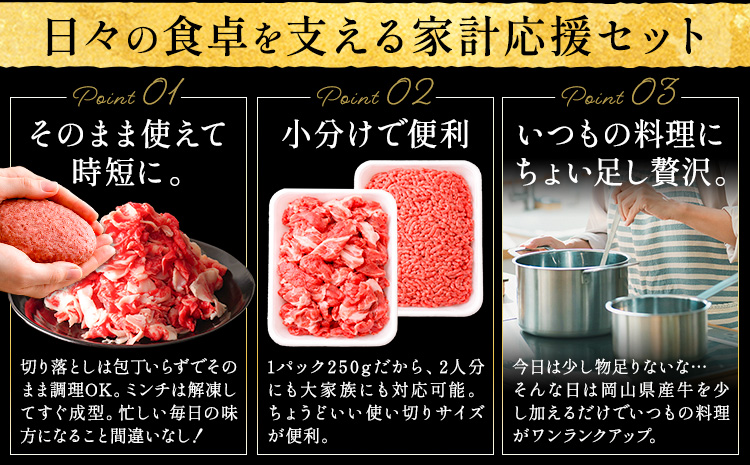 【3ヶ月定期便】牛肉 国産 切り落とし ミンチ セット 家計応援 岡山県産牛 1kg×3回 1パック250g《お申し込み月の翌月から出荷開始》岡山県 笠岡市 肉 ひき肉 グルメ お取り寄せグルメ