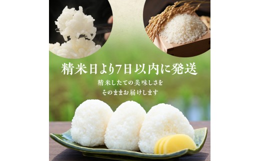 R8年産 新潟県産 コシヒカリ  2kg 6か月定期便 新潟県 新潟市産 令和8年産 お米 精米 米 ご飯 送料無料