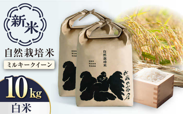 
            【新米：令和6年産】自然栽培 ミルキークイーン 5kg 白米 ×2袋　滋賀県長浜市/株式会社お米の家倉 [AQCP006] 米 お米 白米 新米 10kg 
          