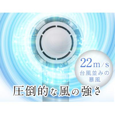 ふるさと納税 つくばみらい市 【ギフト包装】美ルル イオン ユーロス(速乾マイナスイオンドライヤー) スノーホワイト |  | 01