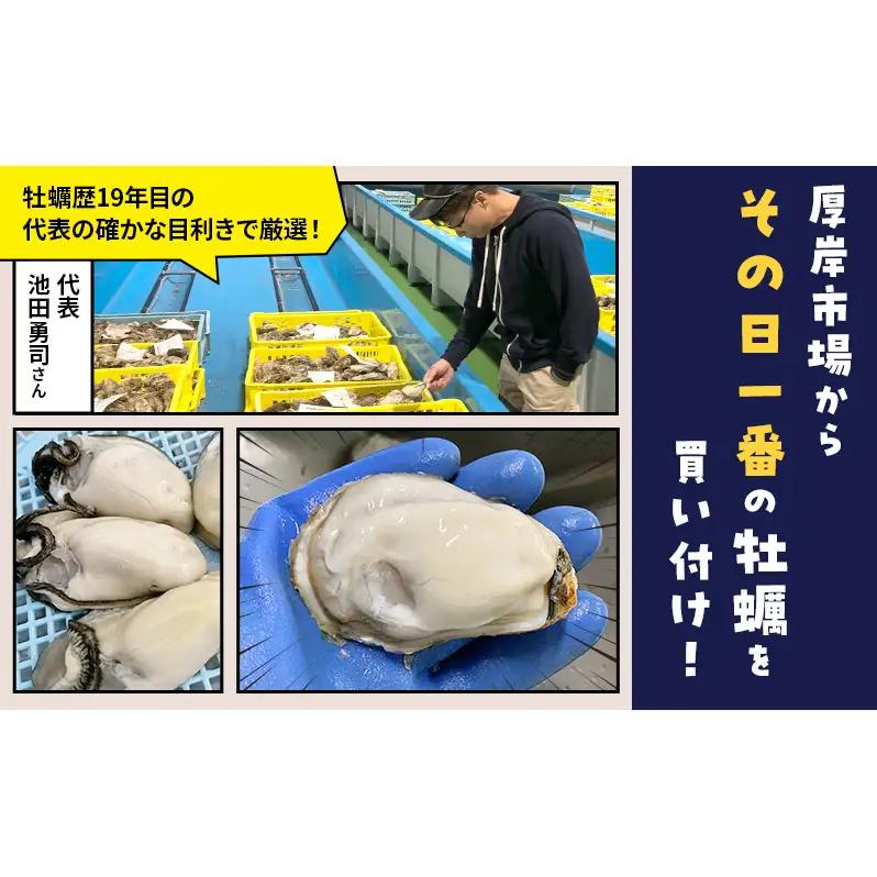 訳あり 北海道 厚岸産 生食用 むき牡蠣 250g 無水 スタンドパック「牡蠣むいちゃいました」 カキ むき身 牡蠣 マルえもん