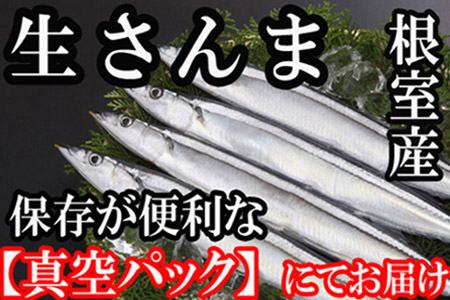 【北海道根室産】冷凍さんま40尾 C-36002