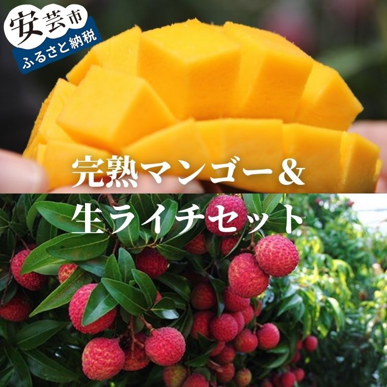 【ふるさと納税】 完熟マンゴー 生ライチ セット フルーツ 果物 くだもの 季節限定 期間限定 数量限定 旬 限定 国産 贈答 ギフト 贈り物 プレゼント デザート スイーツ アレンジ プリン ケーキ スムージー 国産 メリーガーデン お取り寄せ おすすめ ギフト 高知県安芸市