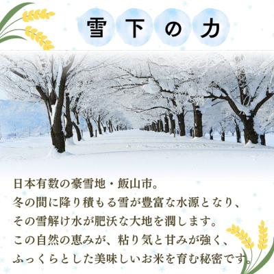 ふるさと納税 飯山市 【令和8年新米予約】 雪下の力 こしひかり 無洗米 5kg 真空パック |  | 01