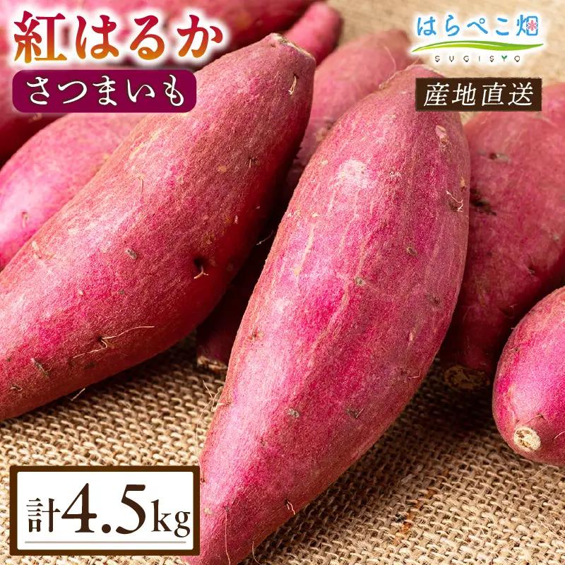 【ねっとり甘い蜜芋】さつまいも 紅はるか（4.5kg×1箱）・H102