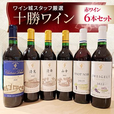 ふるさと納税 池田町 [厳選赤ワイン] 十勝ワイン本格バラエティ6本セット