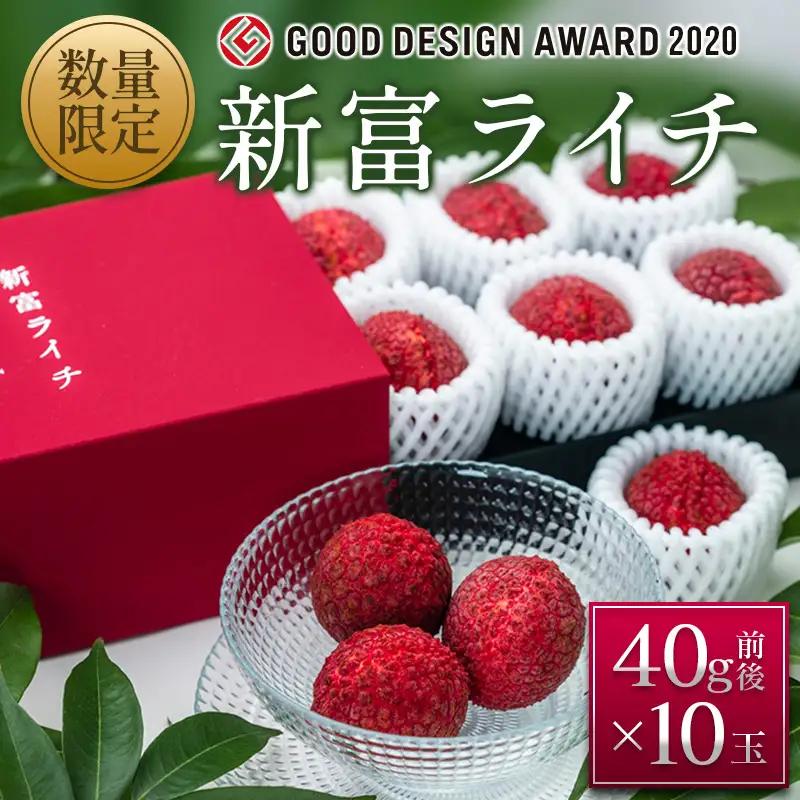 ［2027年発送］先行予約 希少！国産＜新富ライチ＞40g前後×10玉 国産 ブランド フルーツ 果物 贈答品【B120-27】