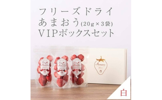 形も味も生のまま！武下さんちの完熟あまおうフリーズドライ 20g×3袋セット 白いVIPボックスに入れて！【あまおう 食品 あまおう フルーツ あまおう 果物 苺くだもの いちご 食品 イチゴ 人気 あまおう おすすめ 送料無料 福岡県 大川市 AA077】