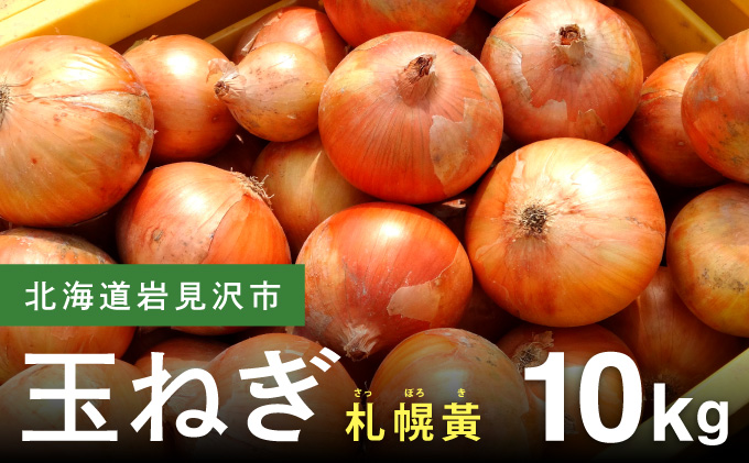 【先行予約】幻の玉ねぎ！札幌黄（さっぽろき）10kg たまねぎ 玉葱 タマネギ 国産 まとめ買い 業務用 贈り物 野菜 美味しい 送料無料 新鮮野菜 健康 和食 レストラン 国産野菜 採れたて 農家直