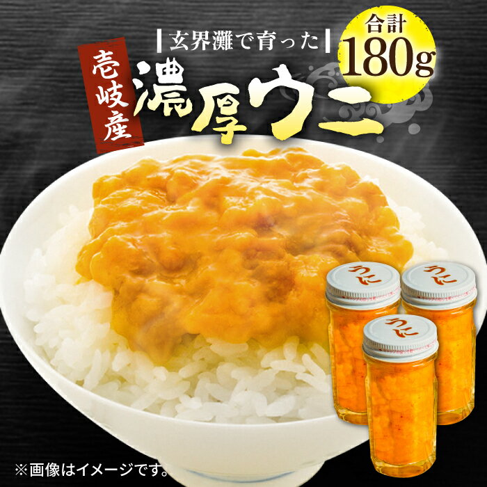 【ふるさと納税】【お中元対象】壱岐産 濃厚 ウニ 60g ×3本《壱岐市》【合同会社塚元】ムラサキウニ 海産物 海鮮 うに 雲丹 珍味 [JDR023] 41000 41000円 のし プレゼント ギフト 冷凍配送
