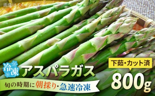アスパラガス 800g 冷凍 カット済み 旬の時期に急速冷凍 【福岡県糸島産】 糸島市 / オーガニックナガミツファーム 野菜 アスパラ [AGE050]