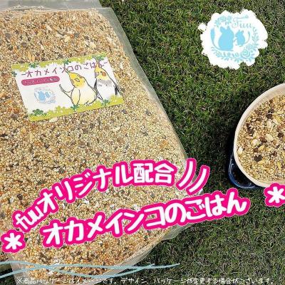 ふるさと納税 小牧市 【3ヶ月定期便】fuu オカメインコのごはん(10kg)[145S54-T]