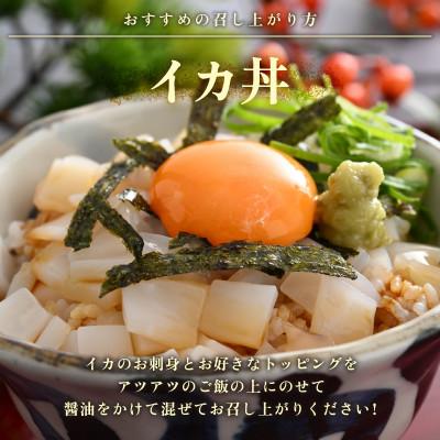 ふるさと納税 美浜町 【活きたイカを販売している漁師が活〆!鮮度抜群】急速冷凍したお刺身で食べるアオリイカ約1kg |  | 02