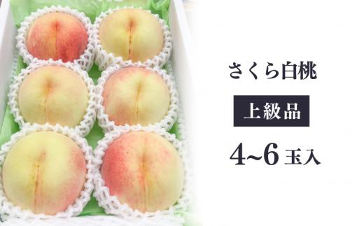 【2026年先行予約】さくら白桃（上級品）4-6玉入 (岡山県産)【KF-A010-02】