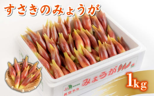 秀品 すさきのみょうが 1kg 生産量日本一 産地直送 秀品 かつおのたたき 薬味 高知県 高知 須崎 須崎市 すさき みょうが 茗荷 かつおたたき 藁焼き鰹  ぽん酢 玉ねぎ ねぎ しょうが 甘酢漬