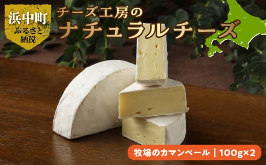 
チーズ工房のナチュラルチーズ　牧場のカマンベール100g×2_H0003-010
