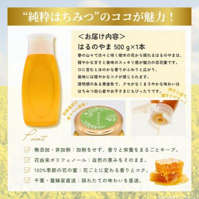 ふるさと納税 大網白里市 千葉県産純粋はちみつ【500g 1本 】はるのやま(百花蜜) |  | 03